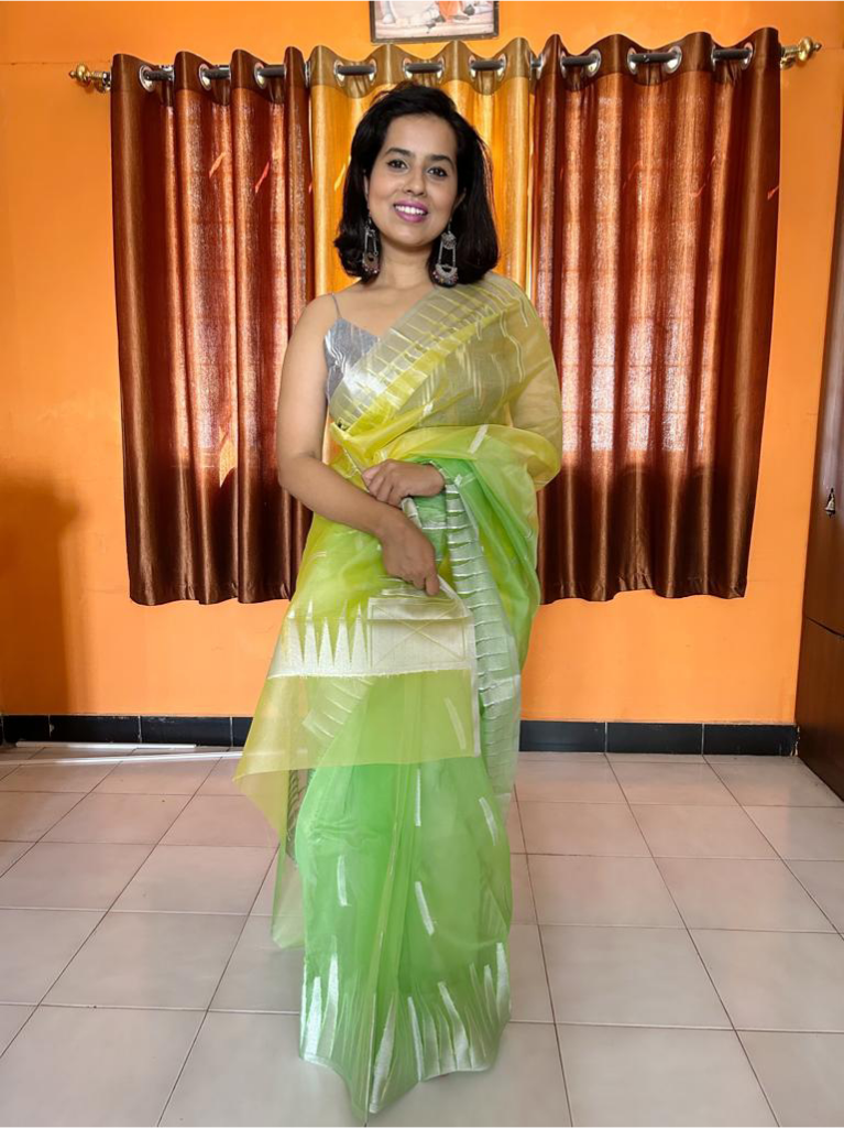 Ombre Organza Saree