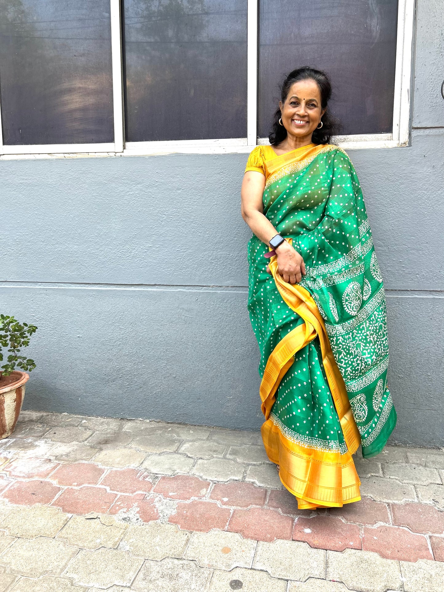 Padmavathi Bhandhani Inspired Chiffon Saree