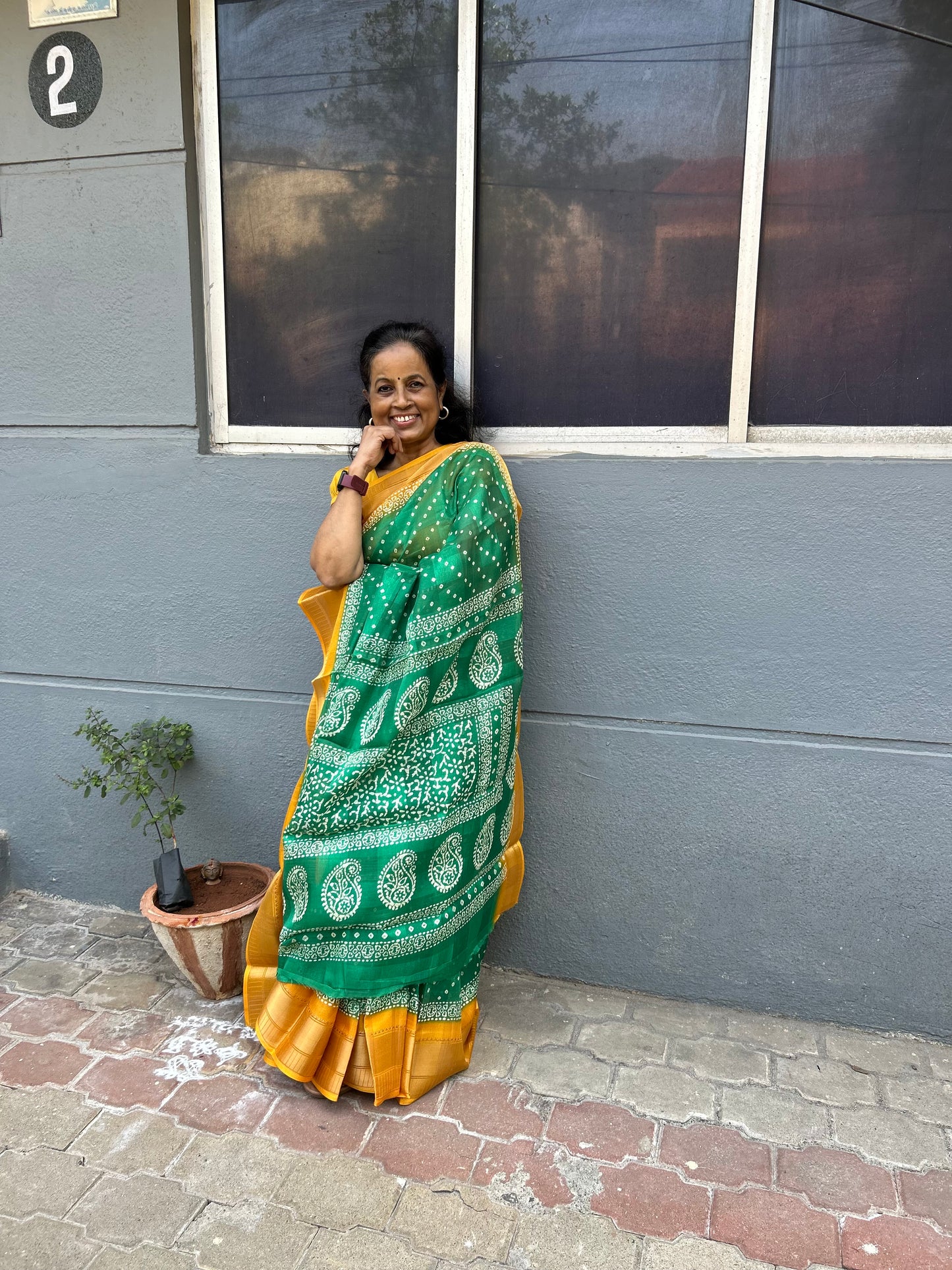 Padmavathi Bhandhani Inspired Chiffon Saree
