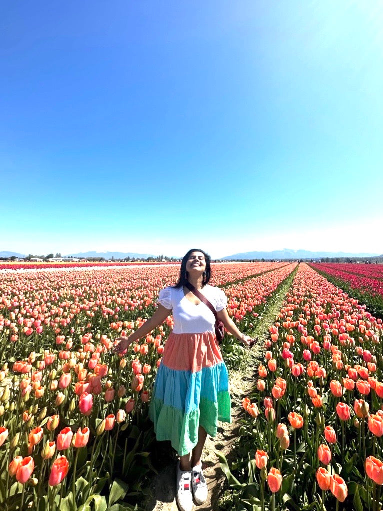 Color Block Midi Dress Part - II