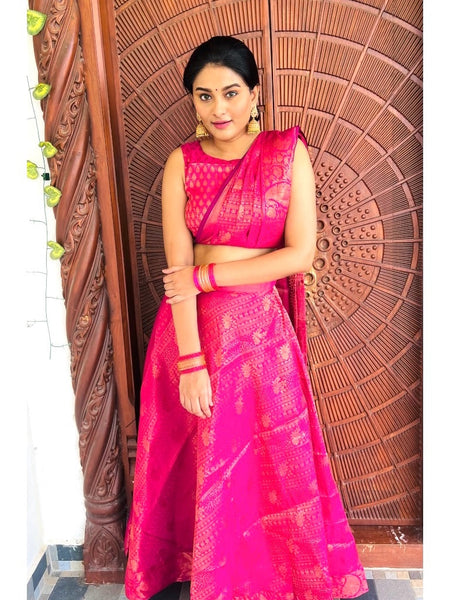 Banarazi Pre draped Saree Pink