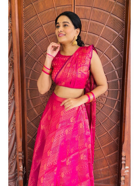 Banarazi Pre draped Saree Pink