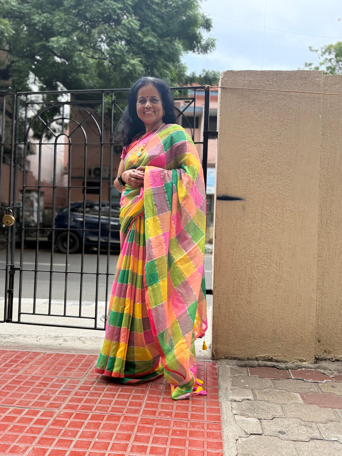 Madras Check  Palum  Pazhamum Saree