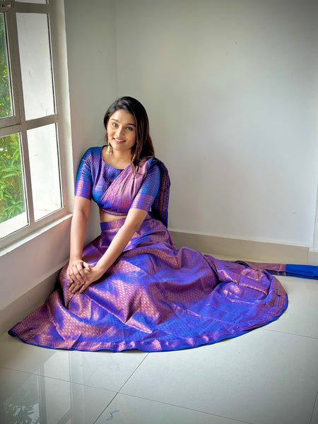 Banarazi Predraped  Saree