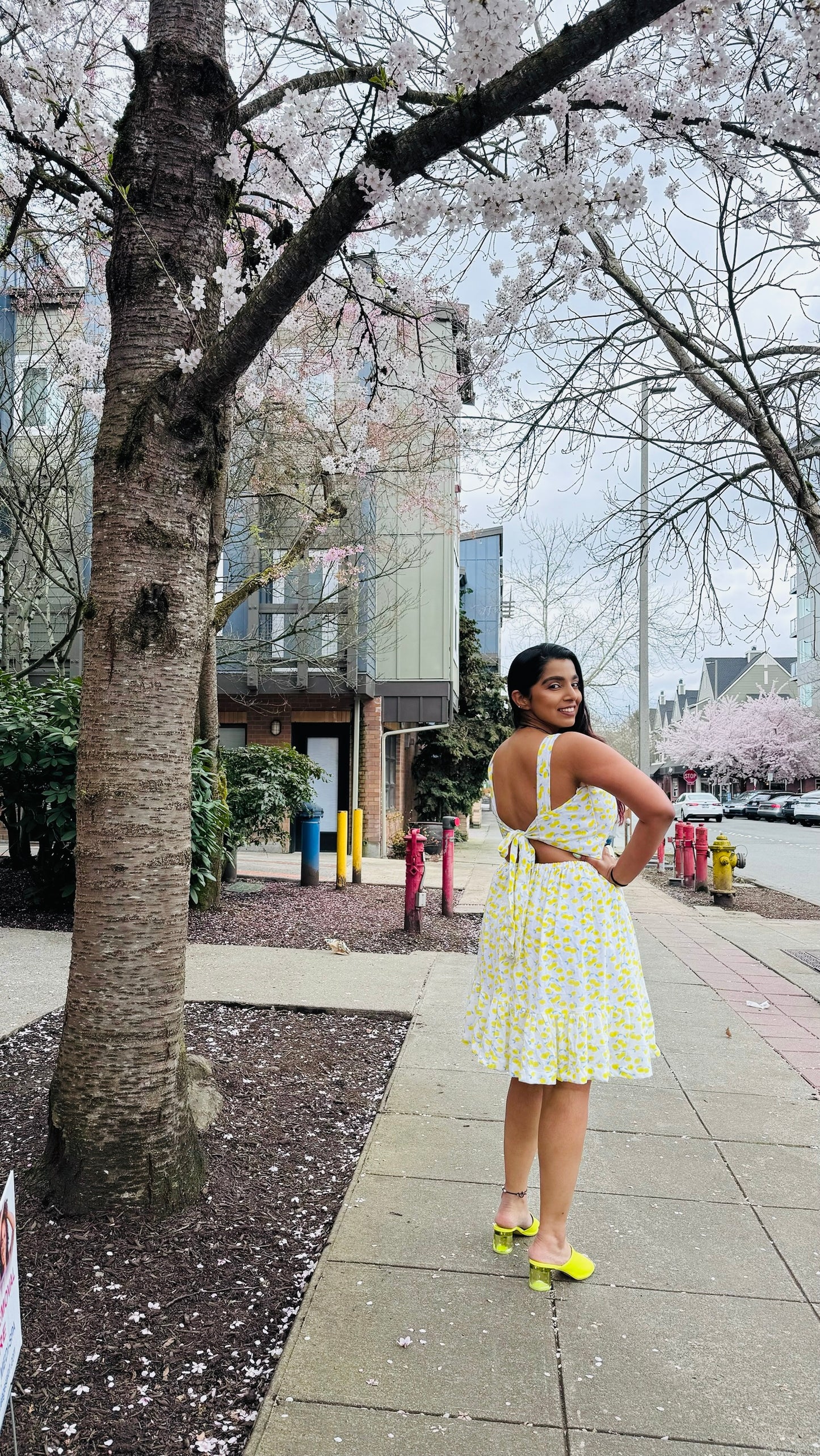 Amalfi Knee  Length Dress